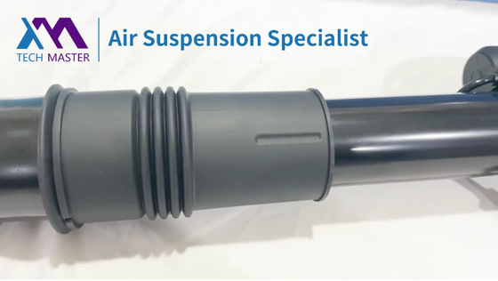 OEM A1643200731 A1643202031 1643203031 Shock della sospensione pneumatica per W164/ML posteriore con ADS 2005-2011