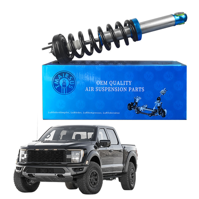 Strutti assorbitori anteriori per Ford F150 prestazioni e durata ineguagliate