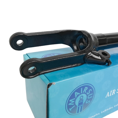 Assorbente d'urto 2513200730 2513203013 2513201931 2513202231 Per Mercedes-Benz W251 Classe R anteriore 2006-2010