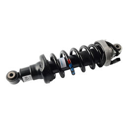 Scossa della sospensione dell'aria di dimensione standard per R8 l'OEM dell'ammortizzatore della parte posteriore L&R (l) 420512019AL (r) 420512020AL