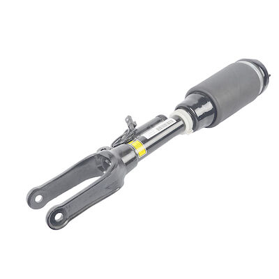 Ammortizzatore della sospensione dell'aria di sistema dei ricambi auto di Mercedes W251 2513203013