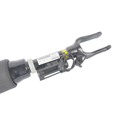 Ammortizzatore della sospensione dell'aria 242513203013 per Mercedes-Benz W251 R - ammortizzatore dell'aria della classe
