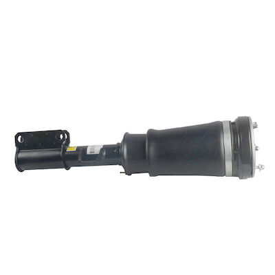 37116761443 37116761444 ammortizzatore della sospensione di muggito dell'aria di Front Air Suspension Strut For BMW E53
