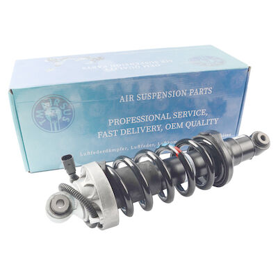 Automobile tedesca Audi R8 Front Air Spring Shock Absorber 420412019AG 420412020AG